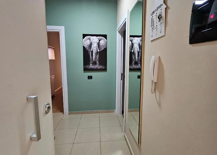 My Rr Kajo Karafili Apartament