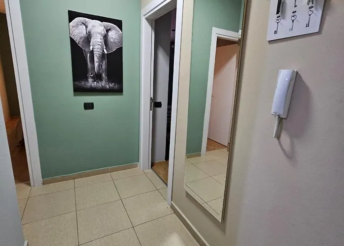 My Rr Kajo Karafili Tirana